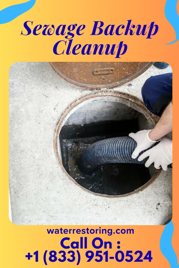 Sewage Backup Cleanup in Baxterville, MS