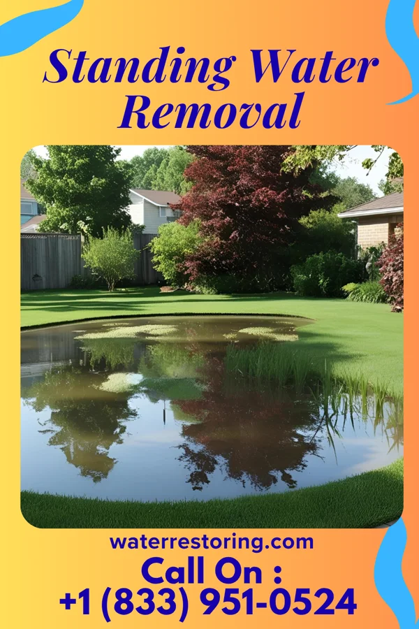 Standing Water Removal in Baxterville, MS